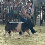 Grady Morrison - @morrisongrady - Instagram