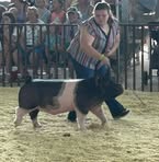 Grady Morrison - Facebook
