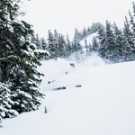 Graydon Morrow - @gradymorrow - Instagram