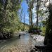 Grady Norris - Facebook