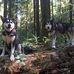 Grady Padgett - Facebook
