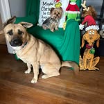 Angie Grady - @angieparksgrady - Instagram