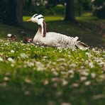 Grady Perdue - Facebook