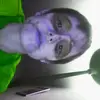 gradyprince - @gradyprince - TikTok