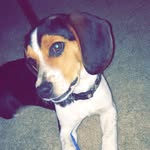 Owen Grady Ratliff - @owen.grady_ratliff18 - Instagram