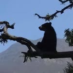 Grady Rogers - @backcountrybanana - Instagram