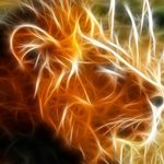 grady shaw - @grady_s1 - Instagram