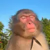 Spencer Grady - @spencer.grady3 - TikTok
