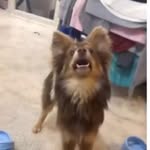 Grady Stokes - @grady.stokes - Instagram