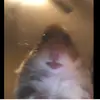 gradystokes482 - @gradystokes482 - TikTok