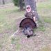 Grady Story - Facebook