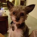 Grady's_Story - @gradys_story - Instagram