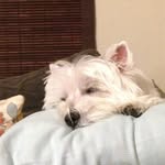 Carol O'Grady Sutton - @carologradysutton - Instagram