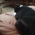 Grady Sutton - @gmanrs234 - Instagram
