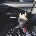 Grady Sutton - @gradysutton81 - Instagram