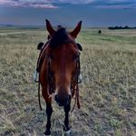Grady Watkins - @gradywatkins89 - Instagram