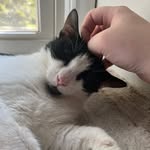 Grady Wells Nelson - @grady_w_nelson - Instagram