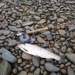 Graeme Burns - @graeme.burns.71 - Instagram