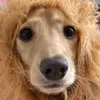 Graeme.Dixon-Burns - @user8034980003614 - TikTok