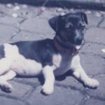 Graeme Lamb - @graeme4163 - Instagram