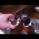 @graeme_lambert - Instagram