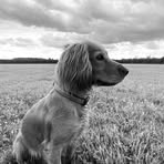 Graeme R Masters - Facebook