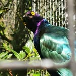 Graeme Patrick - @graeme.patrick.50 - Instagram