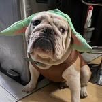 Graeme Phillips - @i.nstagraeme - Instagram