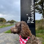 Graeme Shaw - @graeme.shaw.777 - Instagram