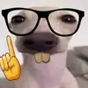 grahambenson - @grahambenson - TikTok