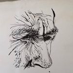Graham Boyd - @graham.boyd.980 - Instagram
