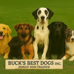 Graham Buck - @gbbucksbestdogs - Instagram