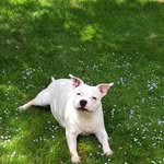 Graham Burt - @teddy1962fit - Instagram