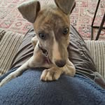 Graham Burt-Smith - @graham648 - Instagram