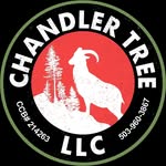CHANDLER TREE INC - @grahamchandler - Instagram