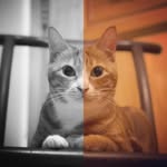 Graham Chan - @graham0818 - Instagram