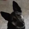 Graham Collins - @graham.collins83 - TikTok