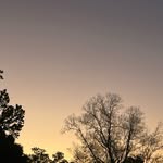 Graham Collins - @graham.collins_5 - Instagram