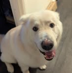 Graham Dickson - Facebook
