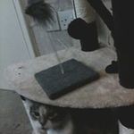 GRAHAM. drew - @graham._drew - Instagram