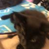 Graham Drew - @graham.drew - TikTok