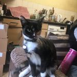 Graham - @graham_drew_ - Instagram