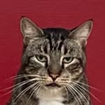 Graham Goodstein - @graham.goodstein - Instagram