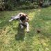 Graham Hale - Facebook