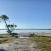Graham Haskell - @graham.haskell - TikTok