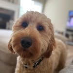 Theodore “Graham” Hensley - @theodoregrahamhensley - Instagram
