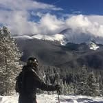 Graham Holt - @greeneggsandgraham1 - Instagram