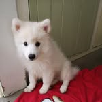 Graham Hooper - @graham.hooper.129 - Instagram