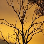 Graham Howe - @howezit - Instagram