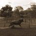 Graham Jensen - Facebook